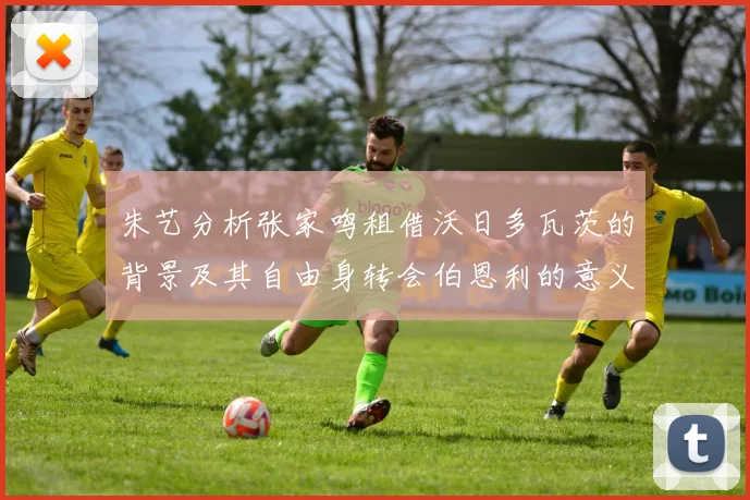 朱艺分析张家鸣租借沃日多瓦茨的背景及其自由身转会伯恩利的意义