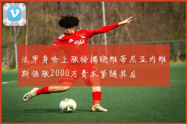 法甲身价上涨榜揭晓维蒂尼亚内维斯领涨2000万青木紧随其后